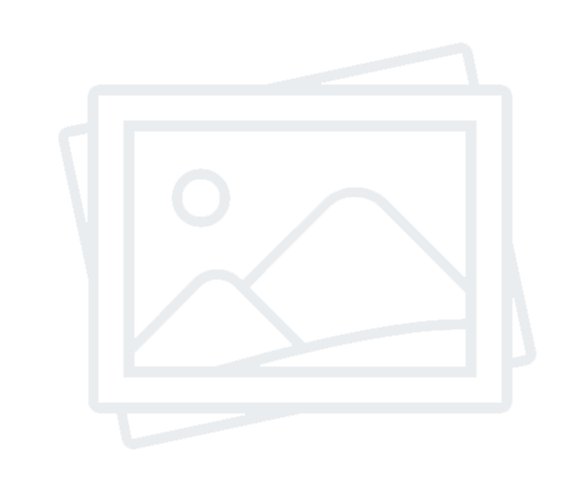 Summary Report with Credit Score & Criminal Background Check